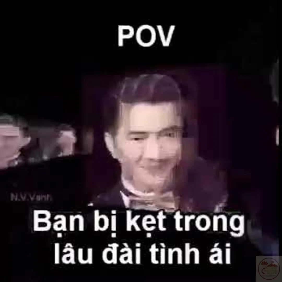 đàm vĩnh hưng meme