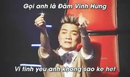 đàm vĩnh hưng meme
