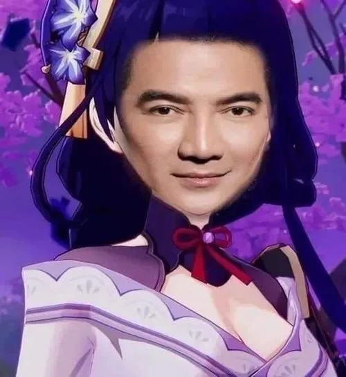 đàm vĩnh hưng meme