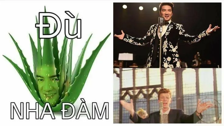 đàm vĩnh hưng meme