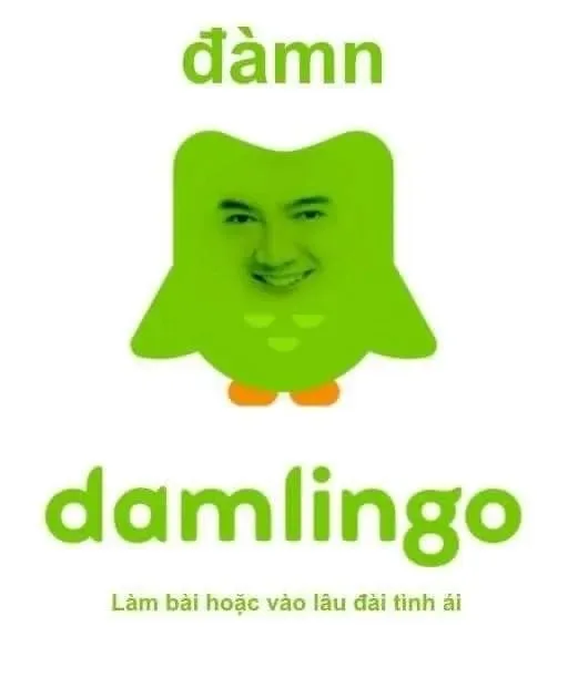 đàm vĩnh hưng meme
