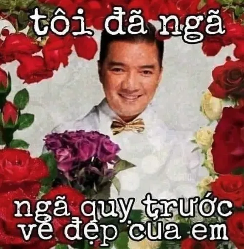 đàm vĩnh hưng meme