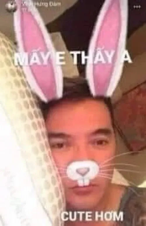 đàm vĩnh hưng meme