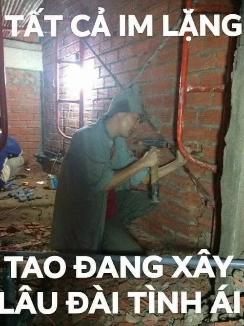 đàm vĩnh hưng meme