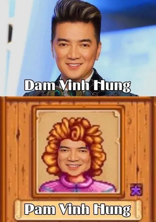 đàm vĩnh hưng meme