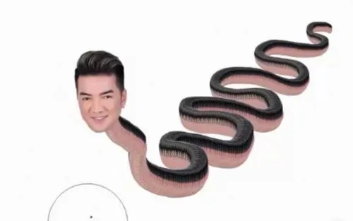 đàm vĩnh hưng meme