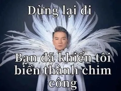 đàm vĩnh hưng meme