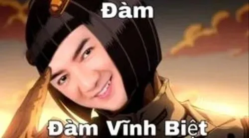 đàm vĩnh hưng meme