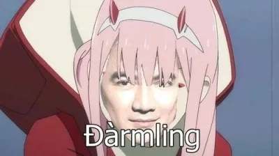 đàm vĩnh hưng meme