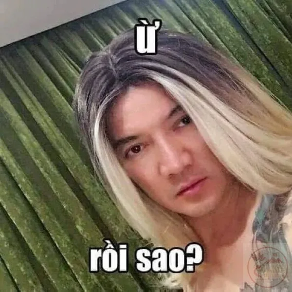 đàm vĩnh hưng meme