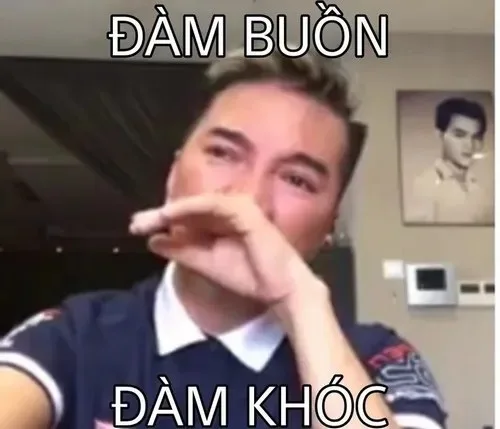 đàm vĩnh hưng meme