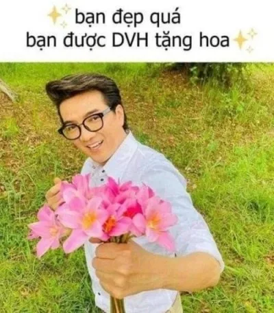 đàm vĩnh hưng meme