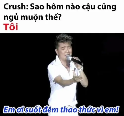 đàm vĩnh hưng meme
