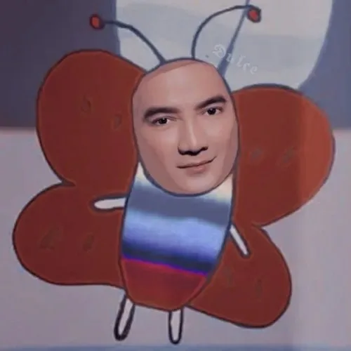 đàm vĩnh hưng meme