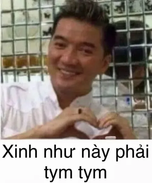 đàm vĩnh hưng meme