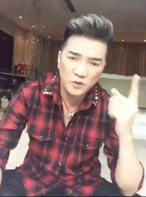 đàm vĩnh hưng meme