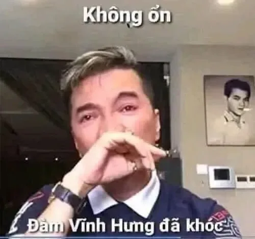 đàm vĩnh hưng meme