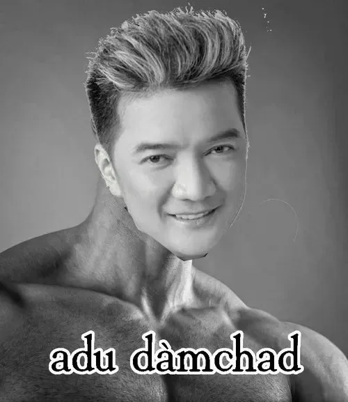 đàm vĩnh hưng meme