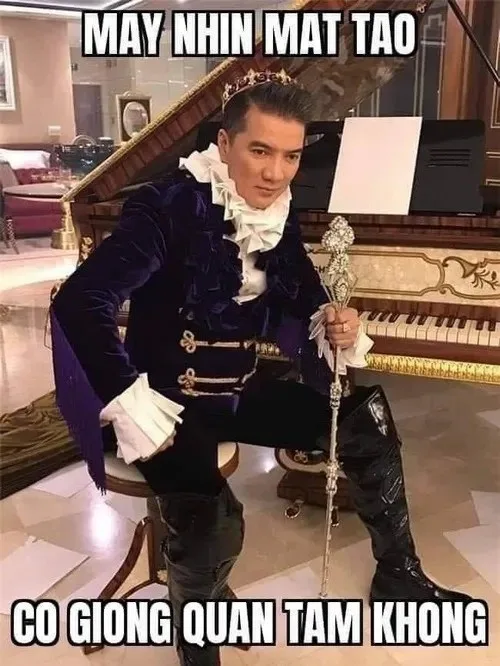đàm vĩnh hưng meme