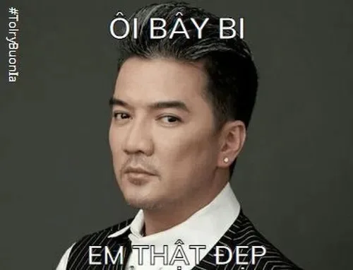 đàm vĩnh hưng meme