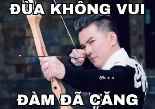 đàm vĩnh hưng meme