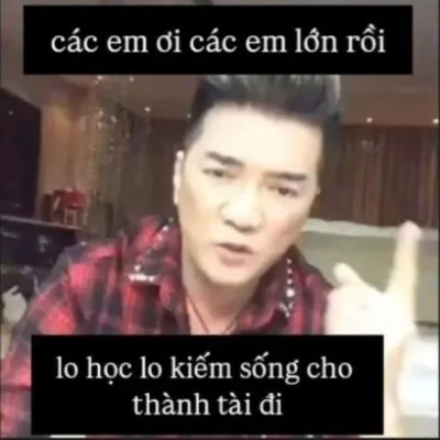 đàm vĩnh hưng meme