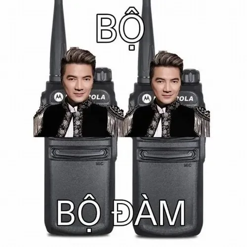 đàm vĩnh hưng meme