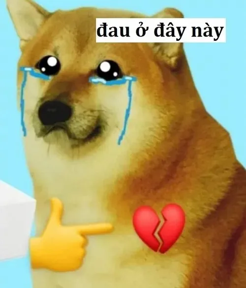 đau ở đây này meme