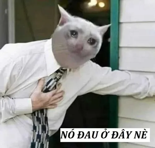 đau ở đây nè meme
