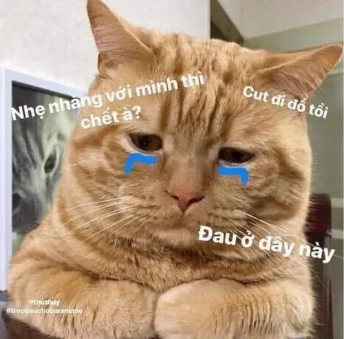 đau ở đây này meme