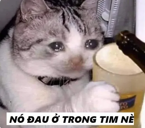 meme đau tim