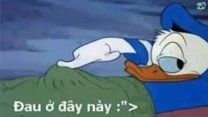 đau ở đây này meme