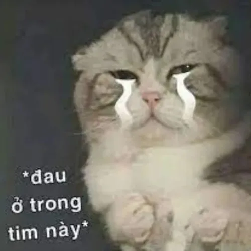 meme đau tim