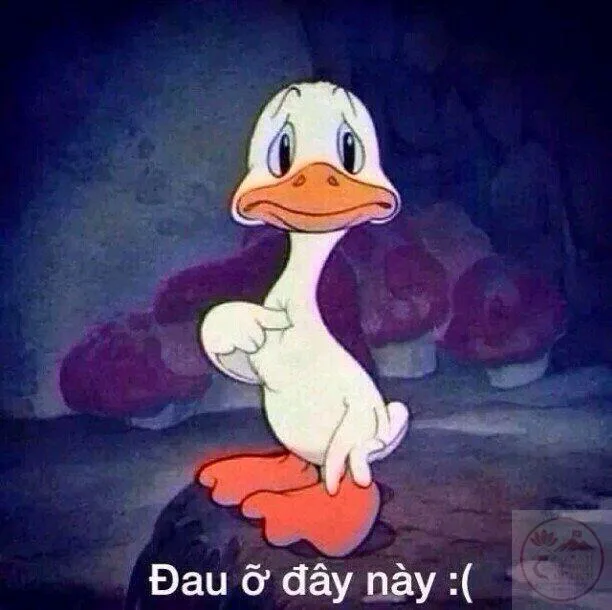 đau ở đây này meme