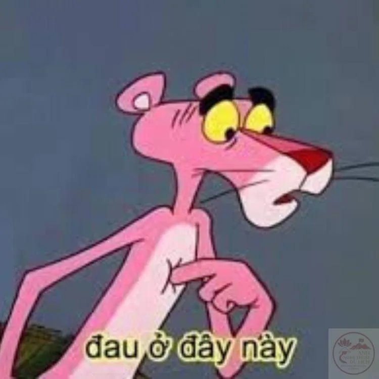 đau ở đây này meme