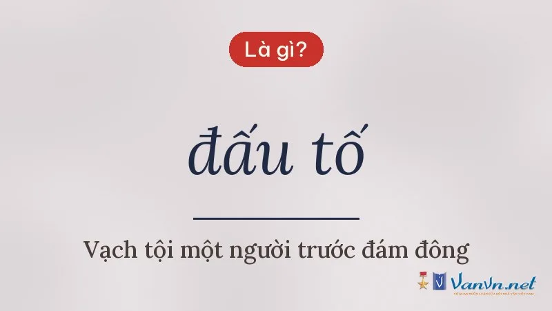đấu tố là gì