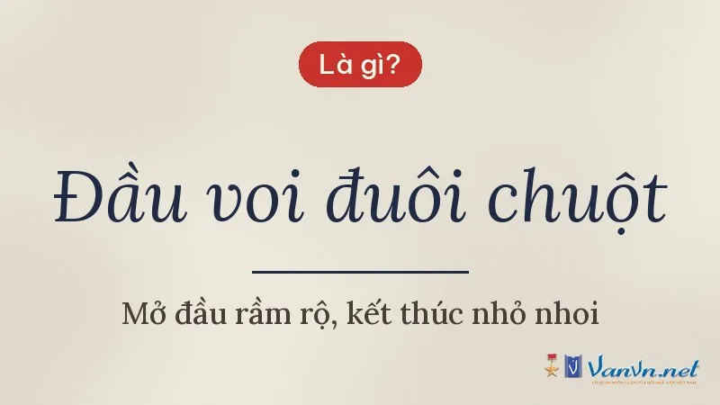 Đầu voi đuôi chuột là gì
