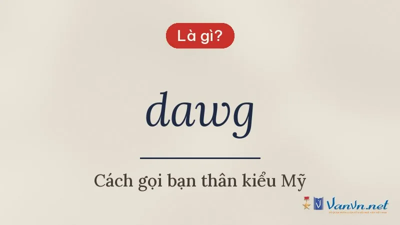 dawg là gì