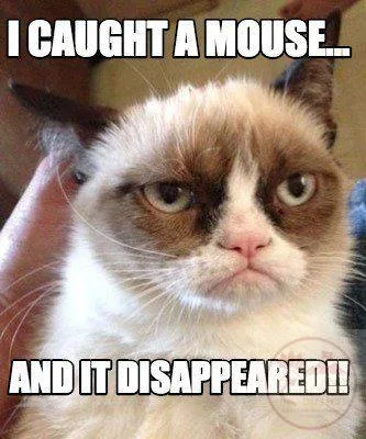 disappear meme