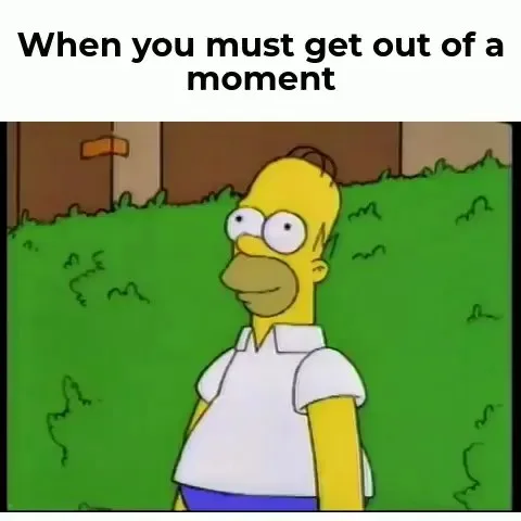 disappear meme