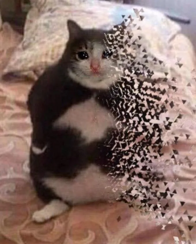disappear meme
