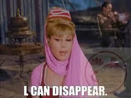 disappear meme