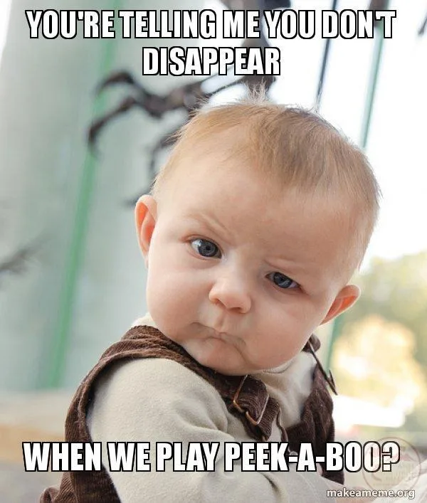 disappear meme