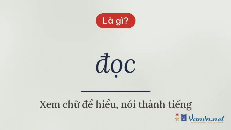 đọc là gì