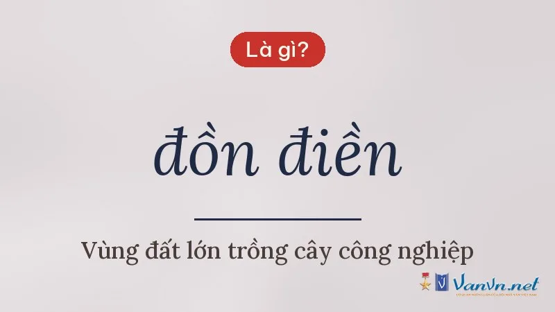 đồn điền là gì