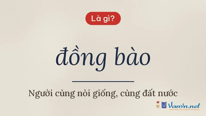 đồng bào là gì