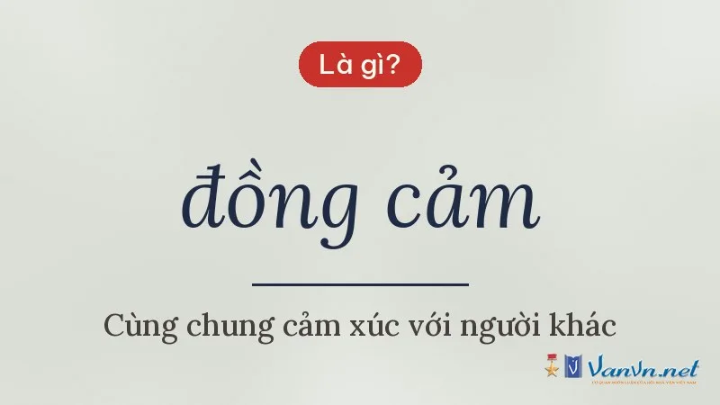 đồng cảm là gì