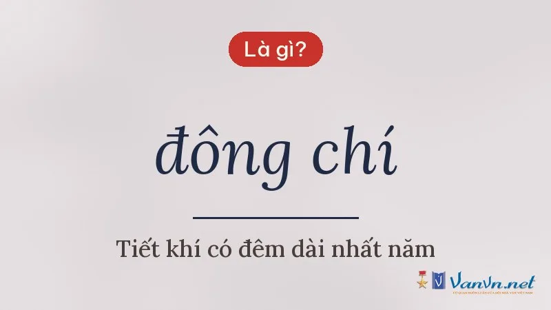 đông chí là gì