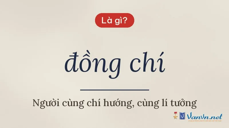 đồng chí là gì