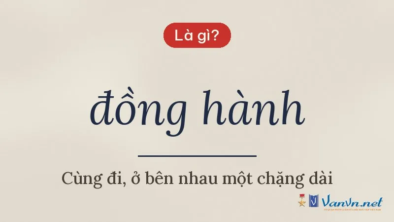 đồng hành là gì